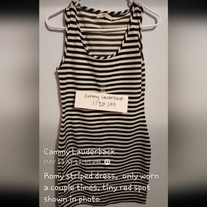 Romy Black and White Striped sleeveless dress
